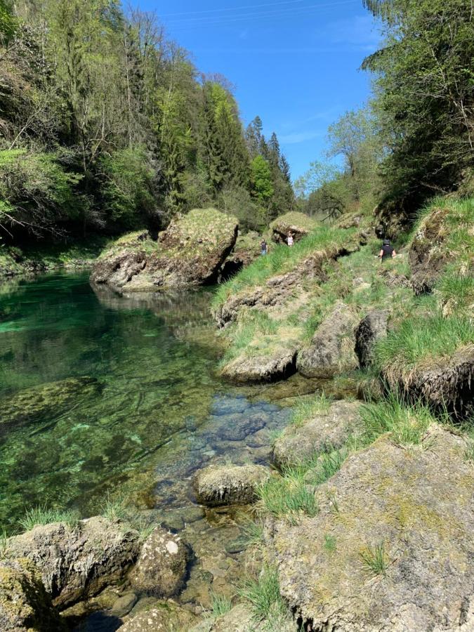Ferienhaeuschen Am Traunsee Mit Tretboot Zur Freien Nutzung Am Badeplatz Altmünster Екстериор снимка