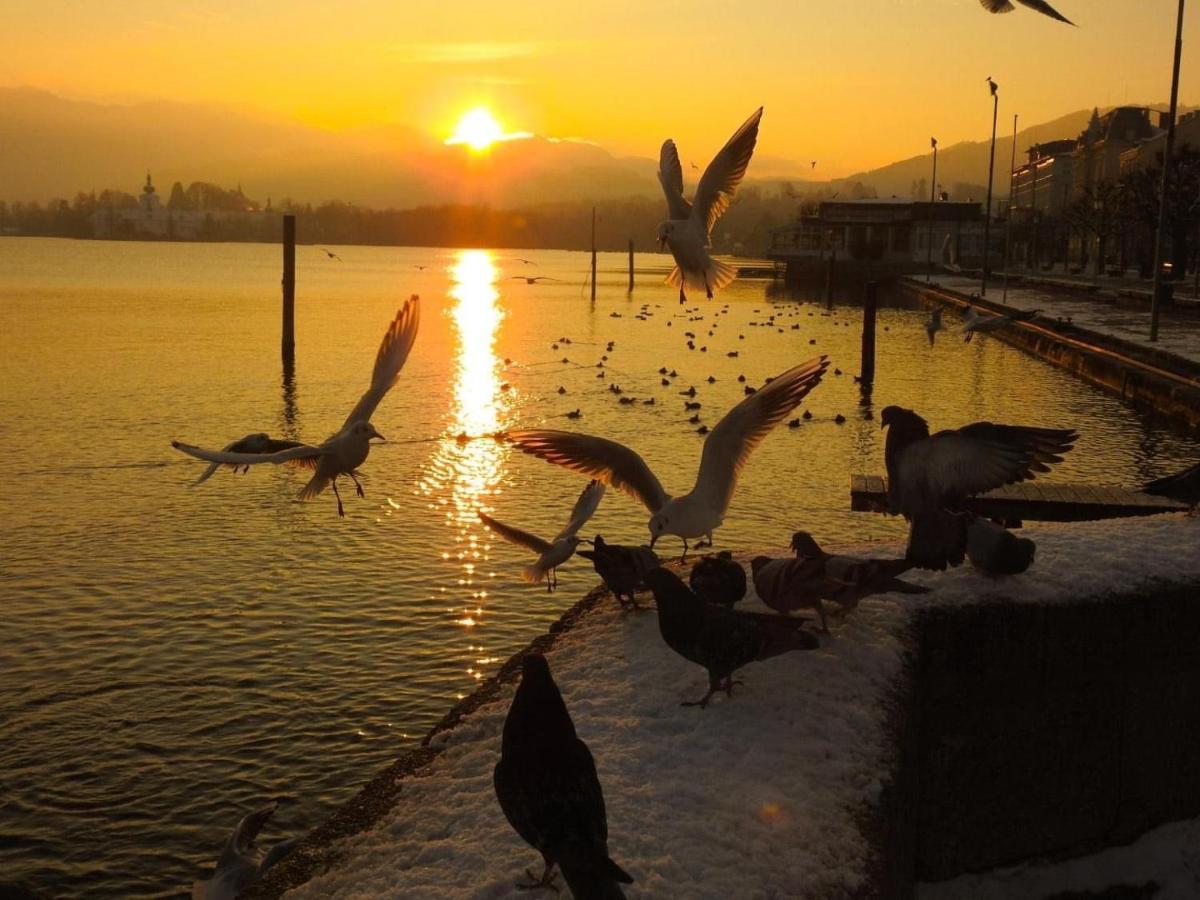 Ferienhaeuschen Am Traunsee Mit Tretboot Zur Freien Nutzung Am Badeplatz Altmünster Екстериор снимка